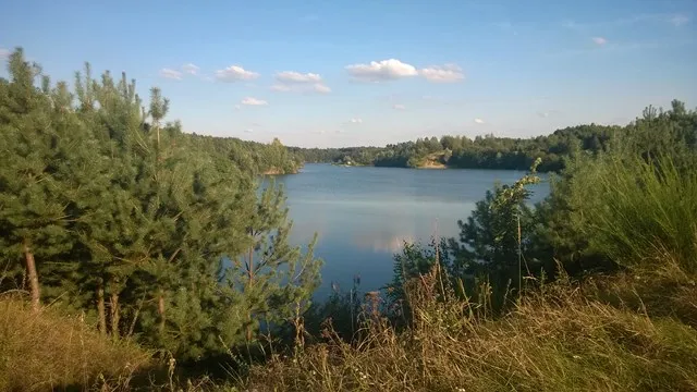 Zdjęcie Gdzie na ryby lubelskie PZW? Odkryj najlepsze łowiska w regionie