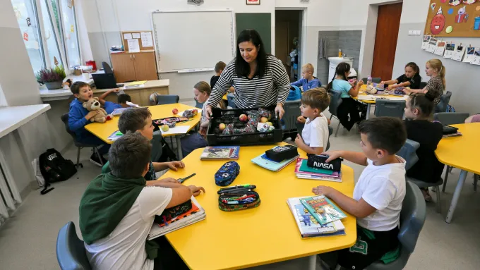 Zdjęcie Czy nauczyciel biologii może uczyć przyrody? Sprawdź wymagania!