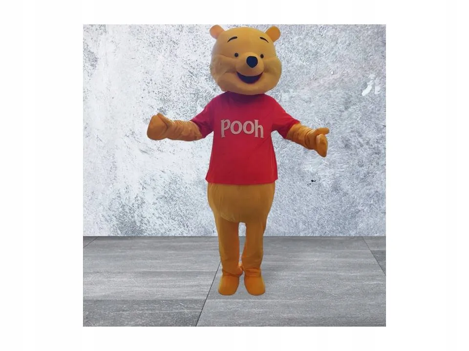 Zdjęcie Jak zrobić strój Kubusia Puchatka: proste pomysły na kostium DIY