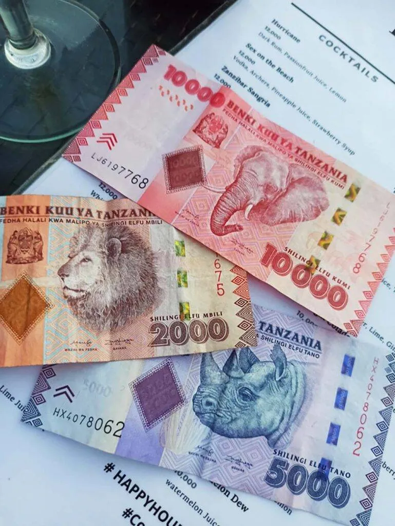 Zdjęcie Jaka waluta na Zanzibarze? Kluczowe informacje o płatnościach i wymianie