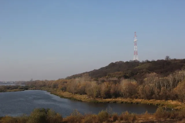 Zdjęcie Rezerwat przyrody Kulin: unikalne gatunki i wyzwania ochrony