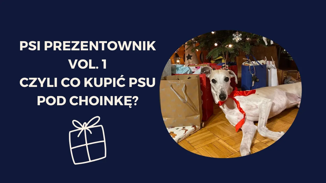 Zdjęcie Co kupić psu pod choinkę, aby sprawić mu prawdziwą radość?
