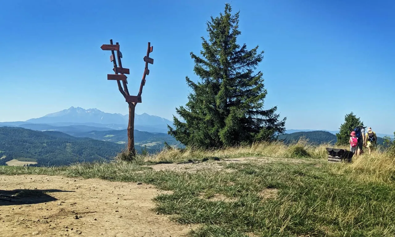 Zdjęcie Wysoki Wierch Szczawnica - odkryj najpiękniejsze szlaki i atrakcje