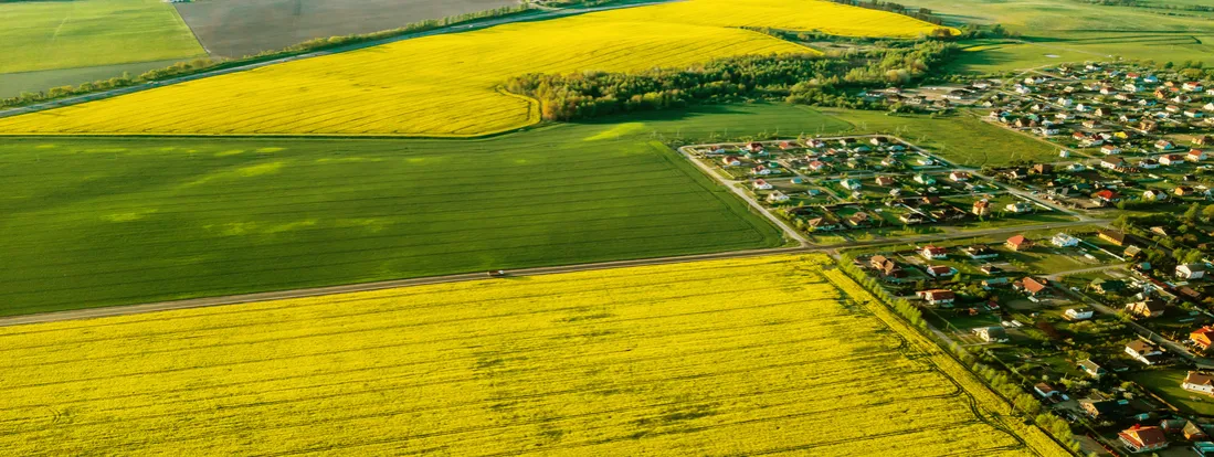 Zdjęcie Co można budować na działce siedliskowej? Praktyczne informacje i przepisy