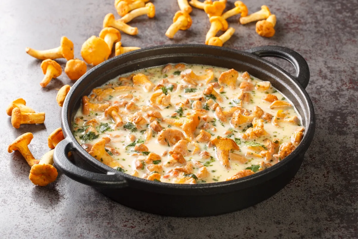 Zdjęcie Jak zrobić sos z kurek w śmietanie – prosty przepis na pyszny smak