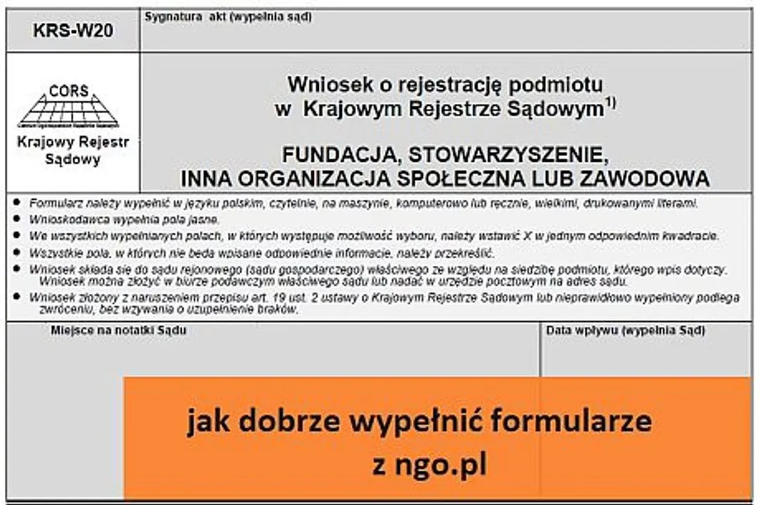 Zdjęcie Jak wypełnić KRS-W20: uniknij błędów i zarejestruj swój podmiot