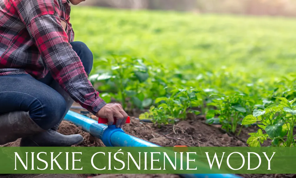 Zdjęcie Niskie ciśnienie w zraszaczach? Rozwiązanie problemu krok po kroku