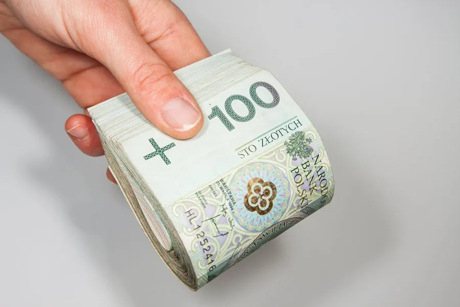 Zdjęcie Kto daje pożyczki bez BIK i KRD? Sprawdź, jak uniknąć problemów z długami