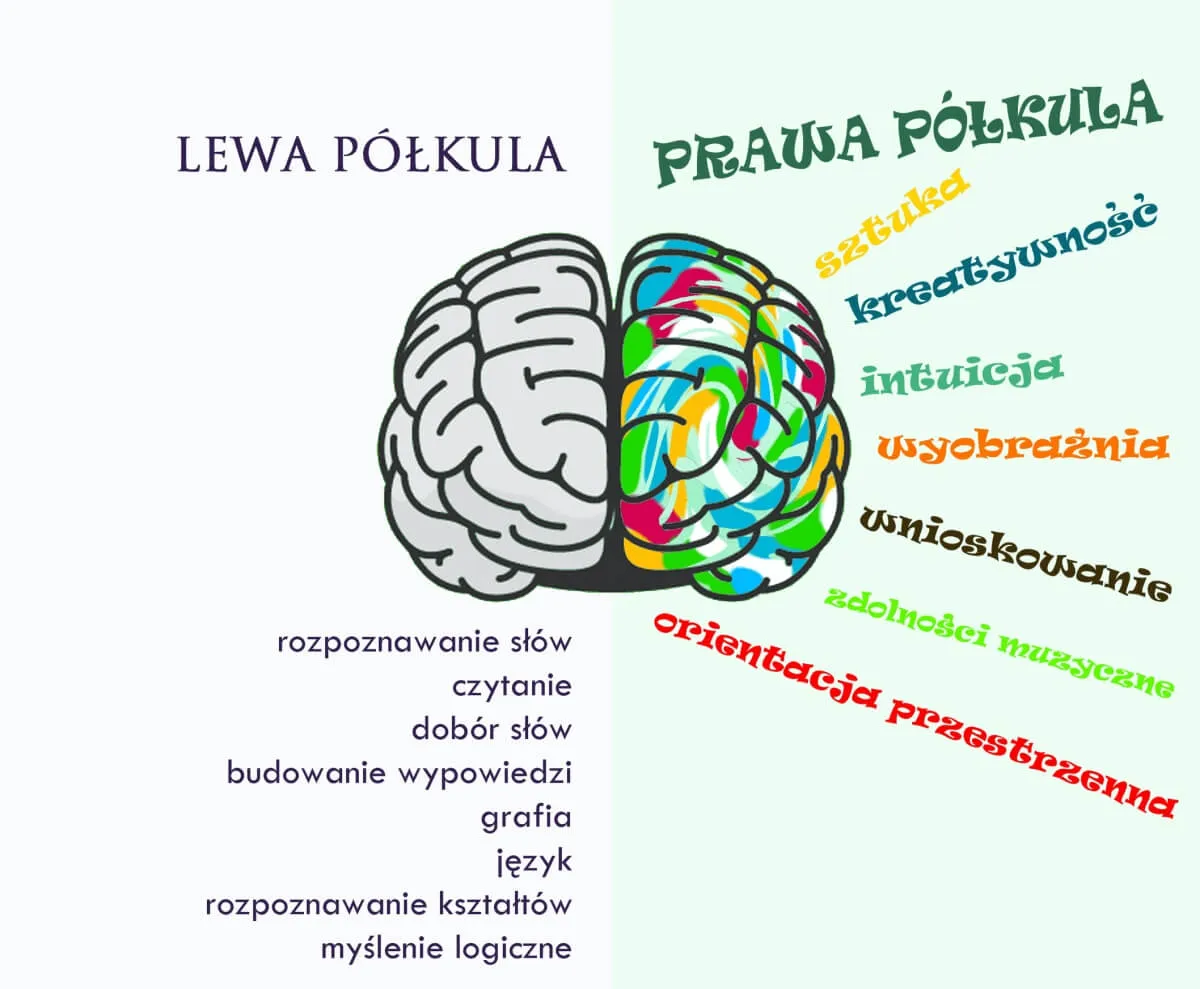 Zdjęcie Jak długo trwa afazja po udarze mózgu i co wpływa na jej ustąpienie