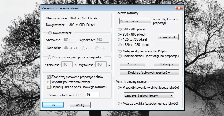 Zdjęcie Jak pobrać spolszczenie IrfanView 4.67 i cieszyć się pełną funkcjonalnością