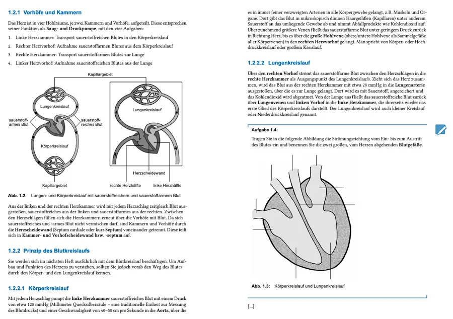 Zdjęcie Gesundheit und Pflege Abitur: Chancen, Fächer und Karrierewege verstehen