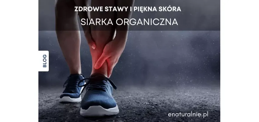 Zdjęcie Suplement MSM - co to jest i jak może poprawić Twoje zdrowie?