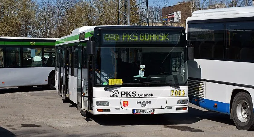 Zdjęcie Ile jedzie autobus z Gdańska do Krynicy Morskiej – aktualne rozkłady i porady