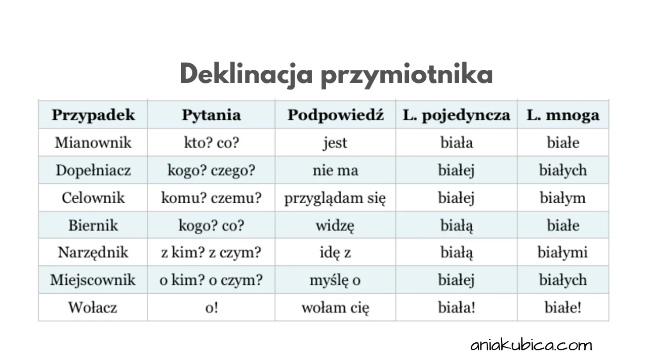 Zdjęcie Nope po polsku – poznaj prawdziwe znaczenie popularnego słowa