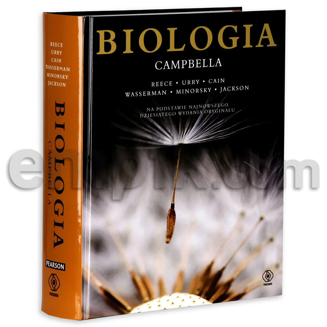 Zdjęcie Biologia Campbella ile stron – wszystko, co musisz wiedzieć o podręczniku
