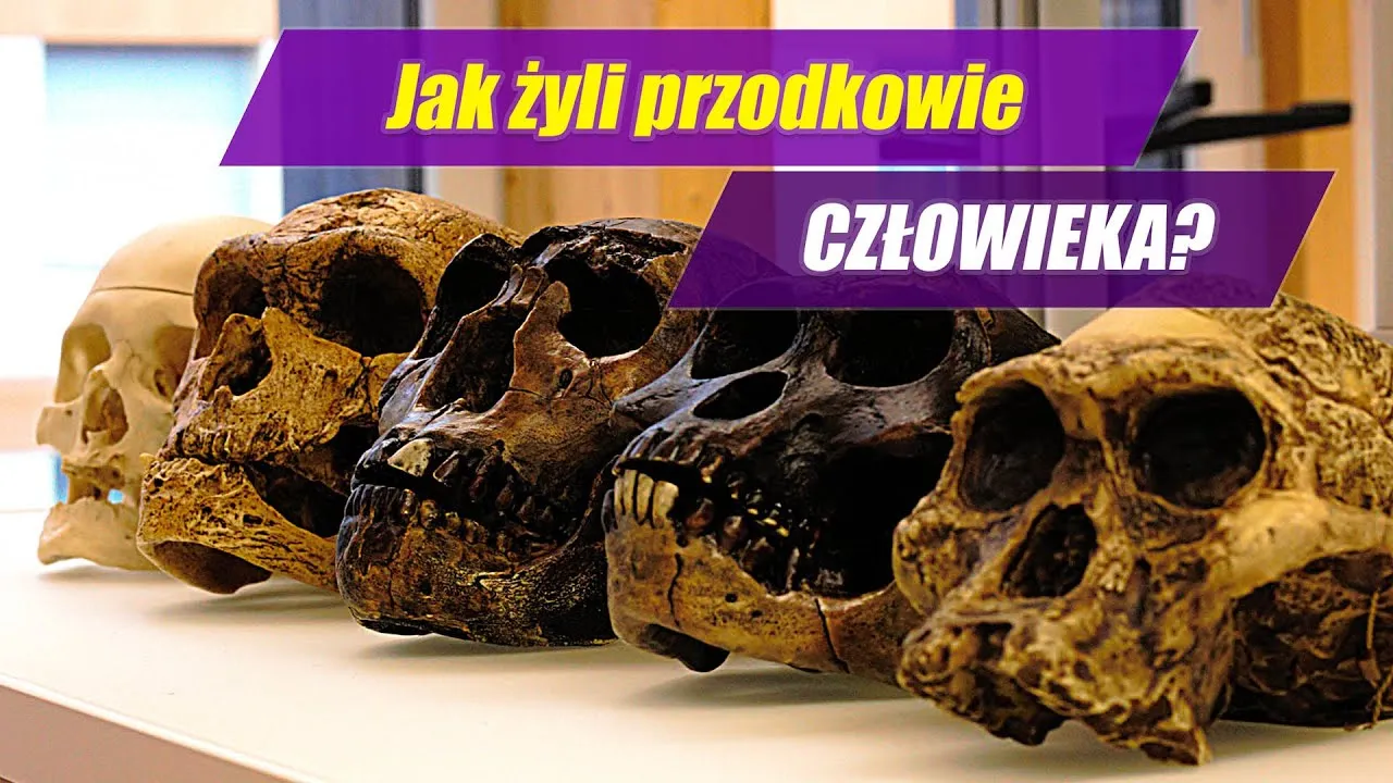 Zdjęcie Skąd pochodzi człowiek? Fascynująca historia ewolucji Homo sapiens