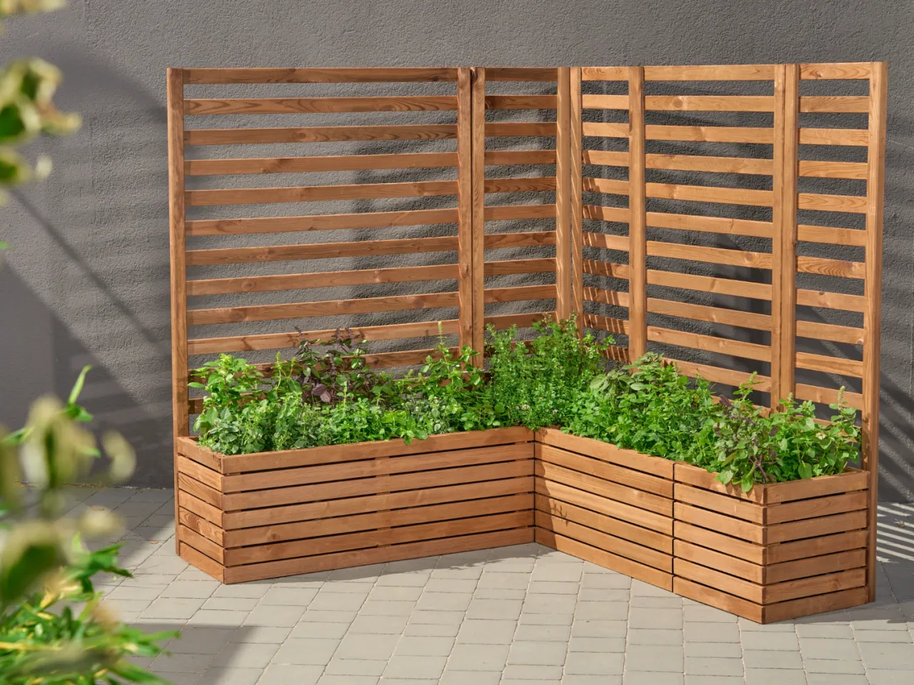 Zdjęcie Donica z pergolą DIY: Kompletny przewodnik krok po kroku