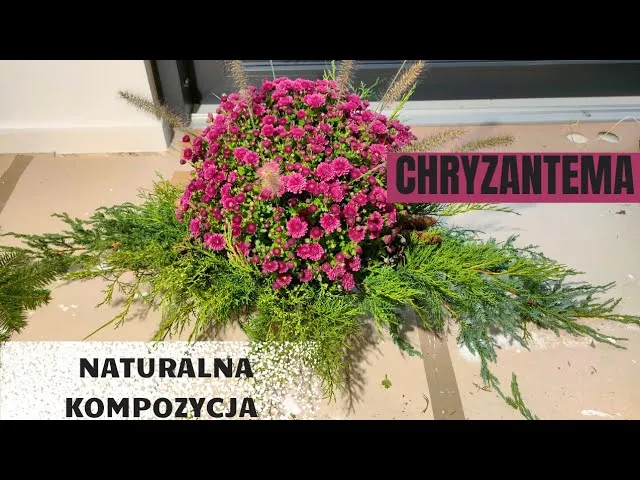 Zdjęcie Jak ozdobić doniczkę na cmentarz, by wyrazić pamięć i szacunek