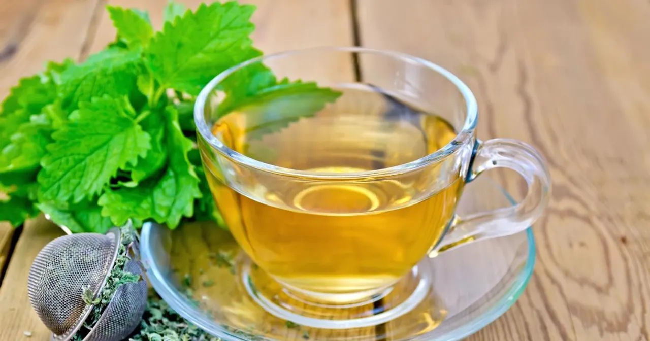 Zdjęcie Czy melisę można pić codziennie? Bezpieczeństwo, dawkowanie i skutki uboczne