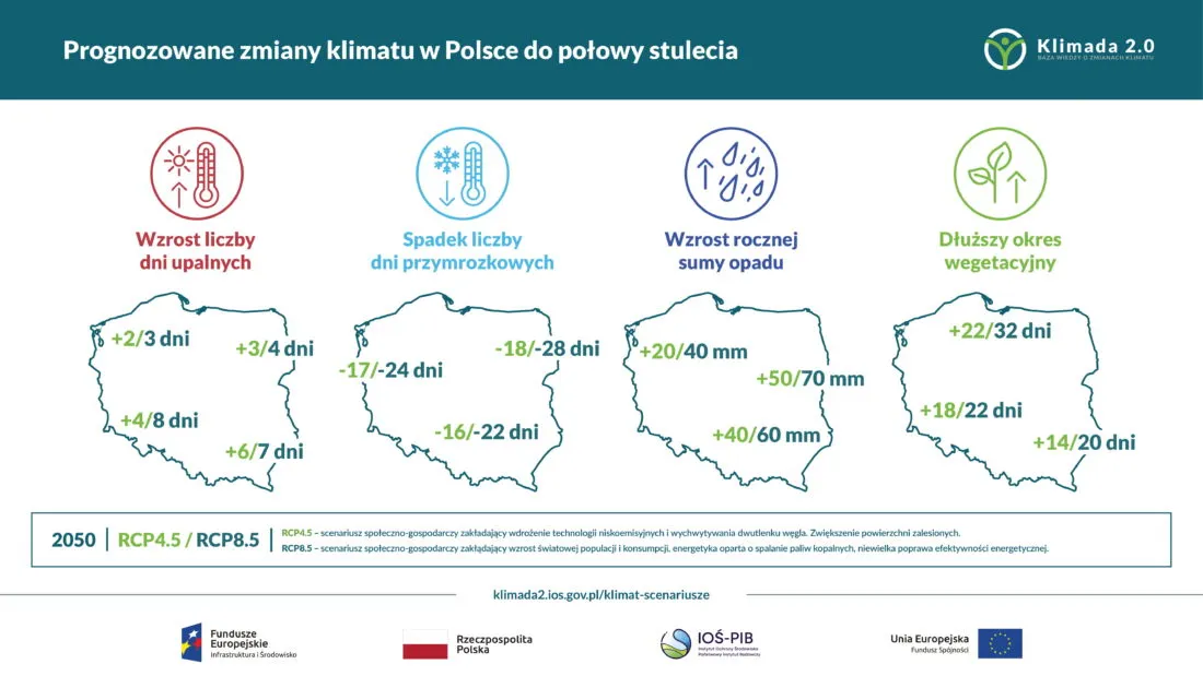 Zdjęcie Jaki klimat mamy w Polsce? Zaskakujące fakty o pogodzie i porach roku