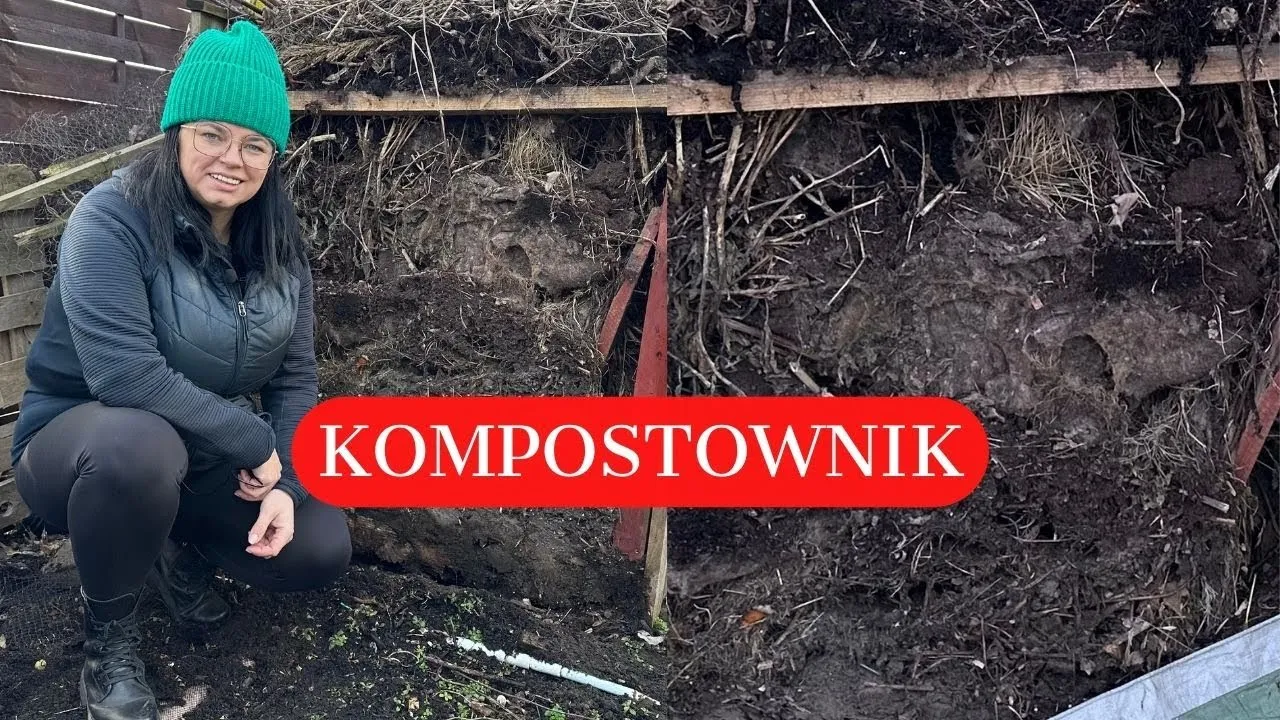 Zdjęcie Jak wygląda kompostownik? Odkryj różnorodność i materiały budowy