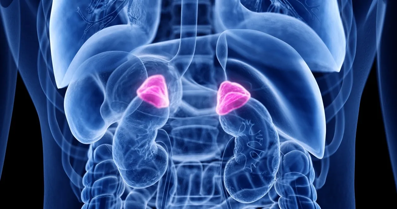 Zdjęcie Nadczynność kory nadnerczy objawy: nie ignoruj tych sygnałów zdrowotnych