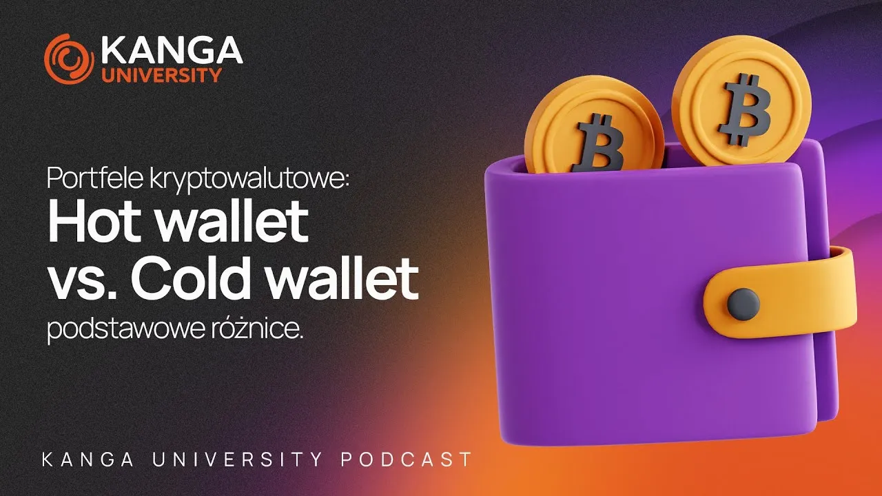 Zdjęcie Hot wallet - jak bezpiecznie przechowywać kryptowaluty bez strat i ryzyka