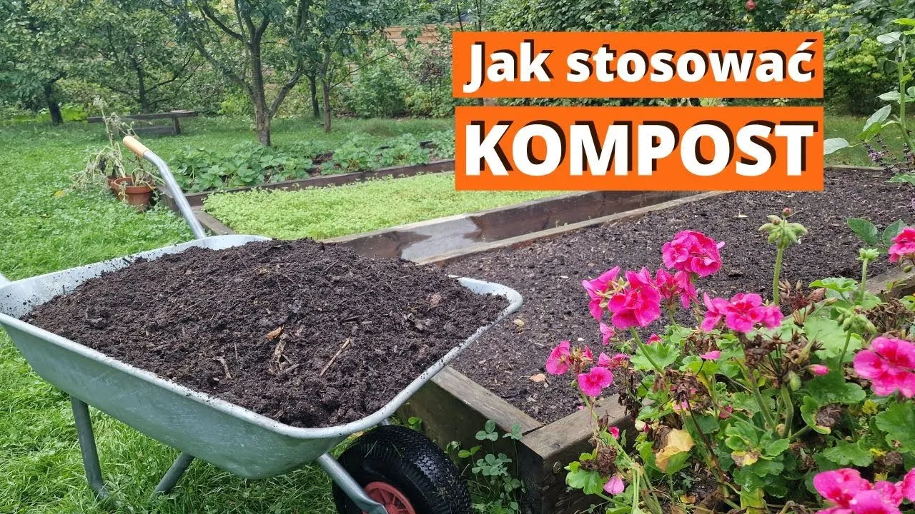 Zdjęcie Jak stosować kompost granulowany: 7 skutecznych metod