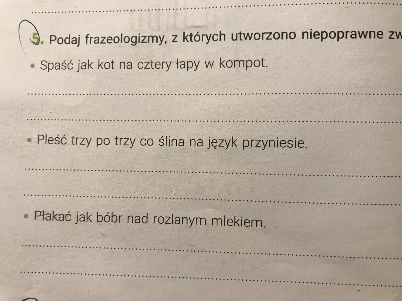 Zdjęcie Co to igl? Poznaj fascynujący świat roślin iglastych