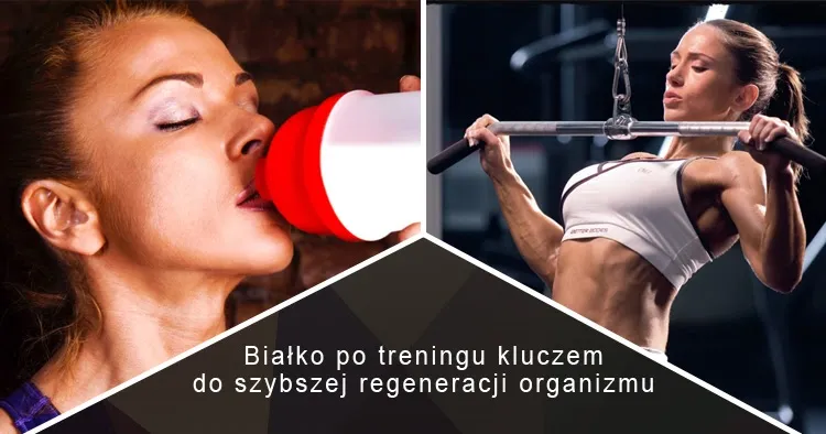 Zdjęcie Ile białka po treningu? Odkryj klucz do szybkiej regeneracji mięśni