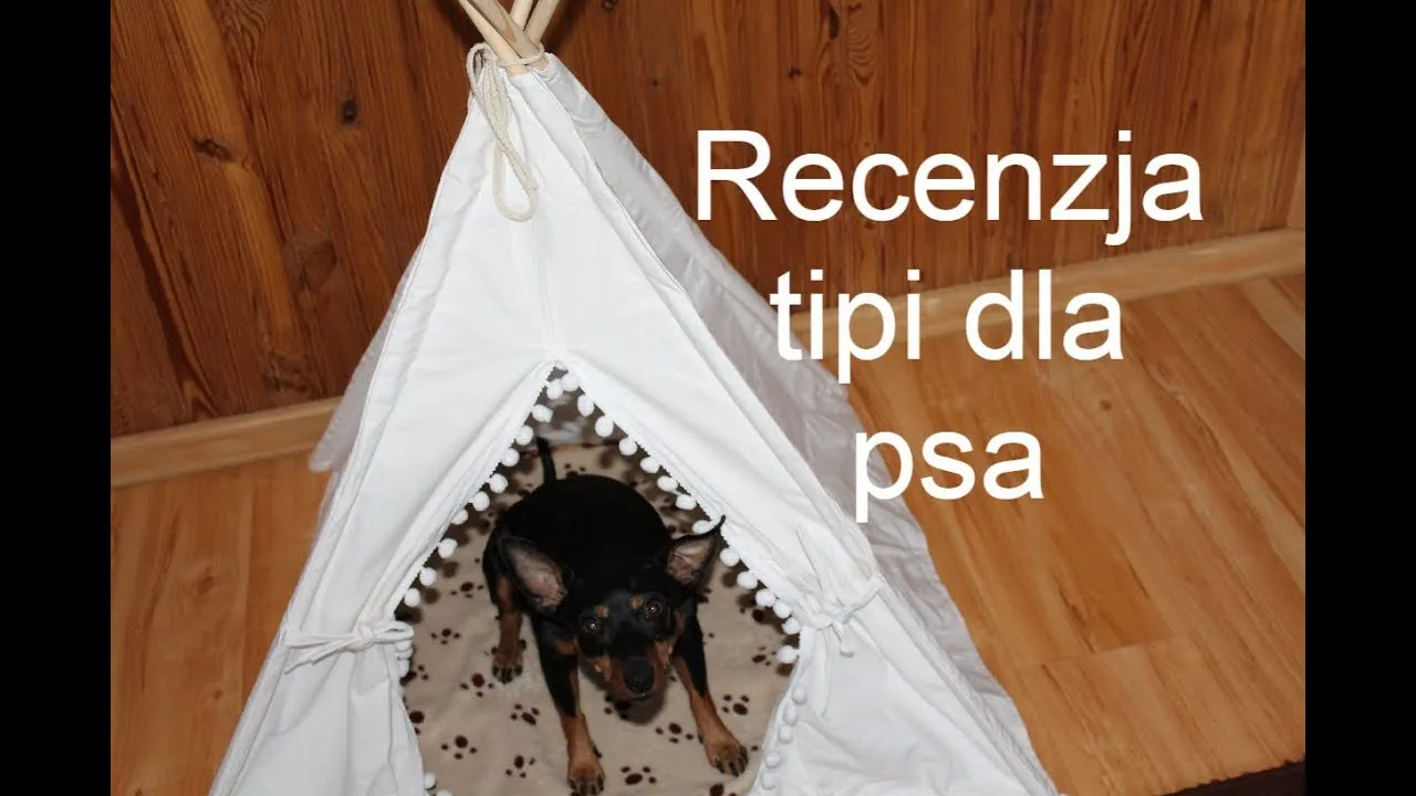 Zdjęcie Jak zrobić tipi dla psa - stwórz bezpieczne miejsce dla swojego pupila