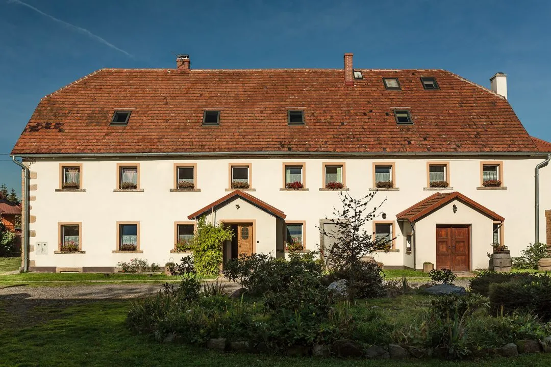Zdjęcie Noclegi w winnicach Dolnego Śląska – idealne miejsce na relaks i degustację