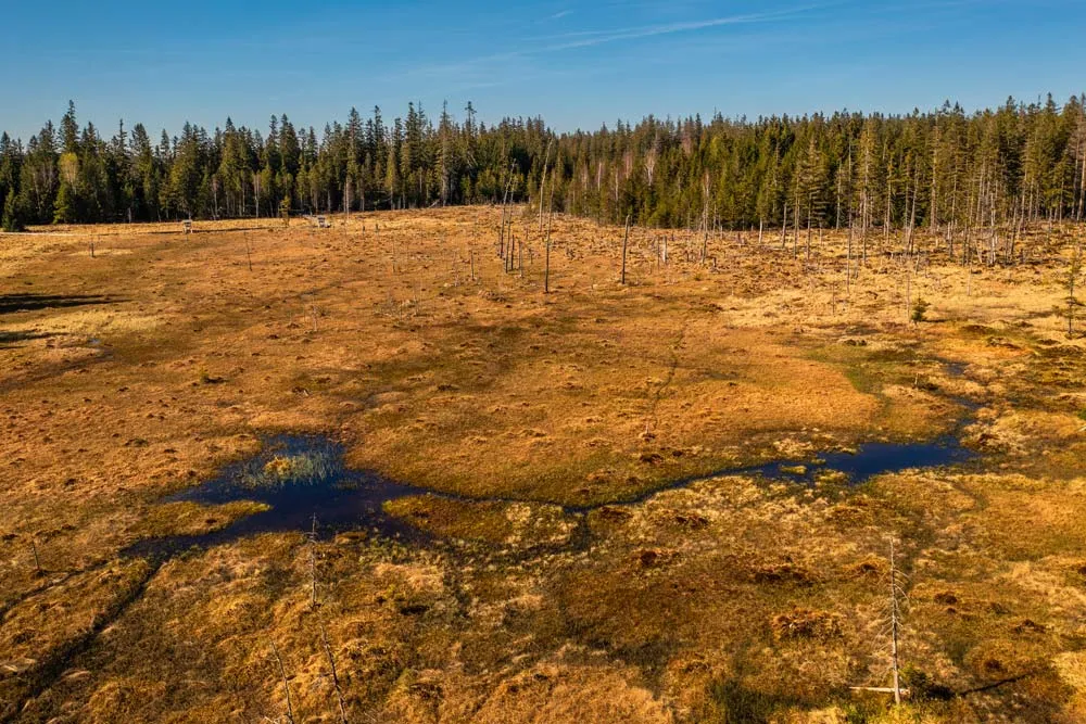 Zdjęcie Jezioro Babskie – odkryj ukryte skarby natury i rekreacji
