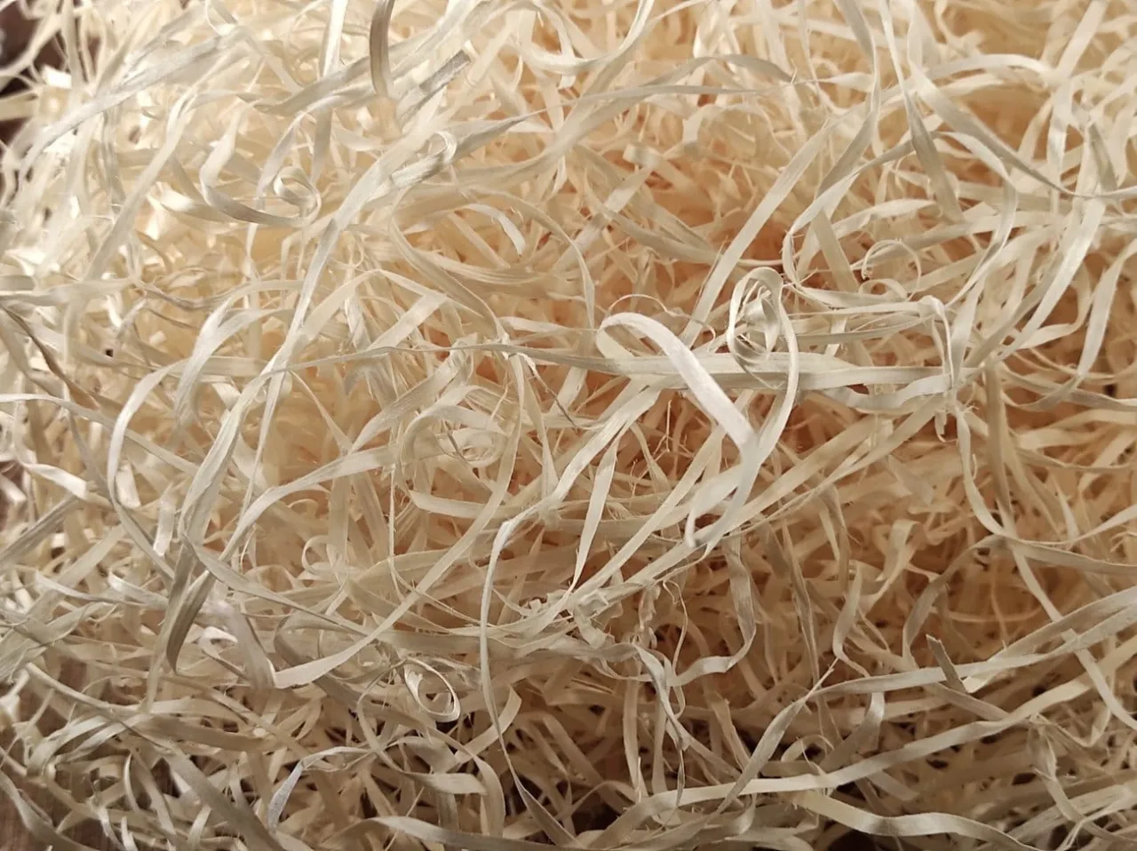 Zdjęcie Gdzie kupić wełnę drzewną? Sklepy, ceny i pomysły