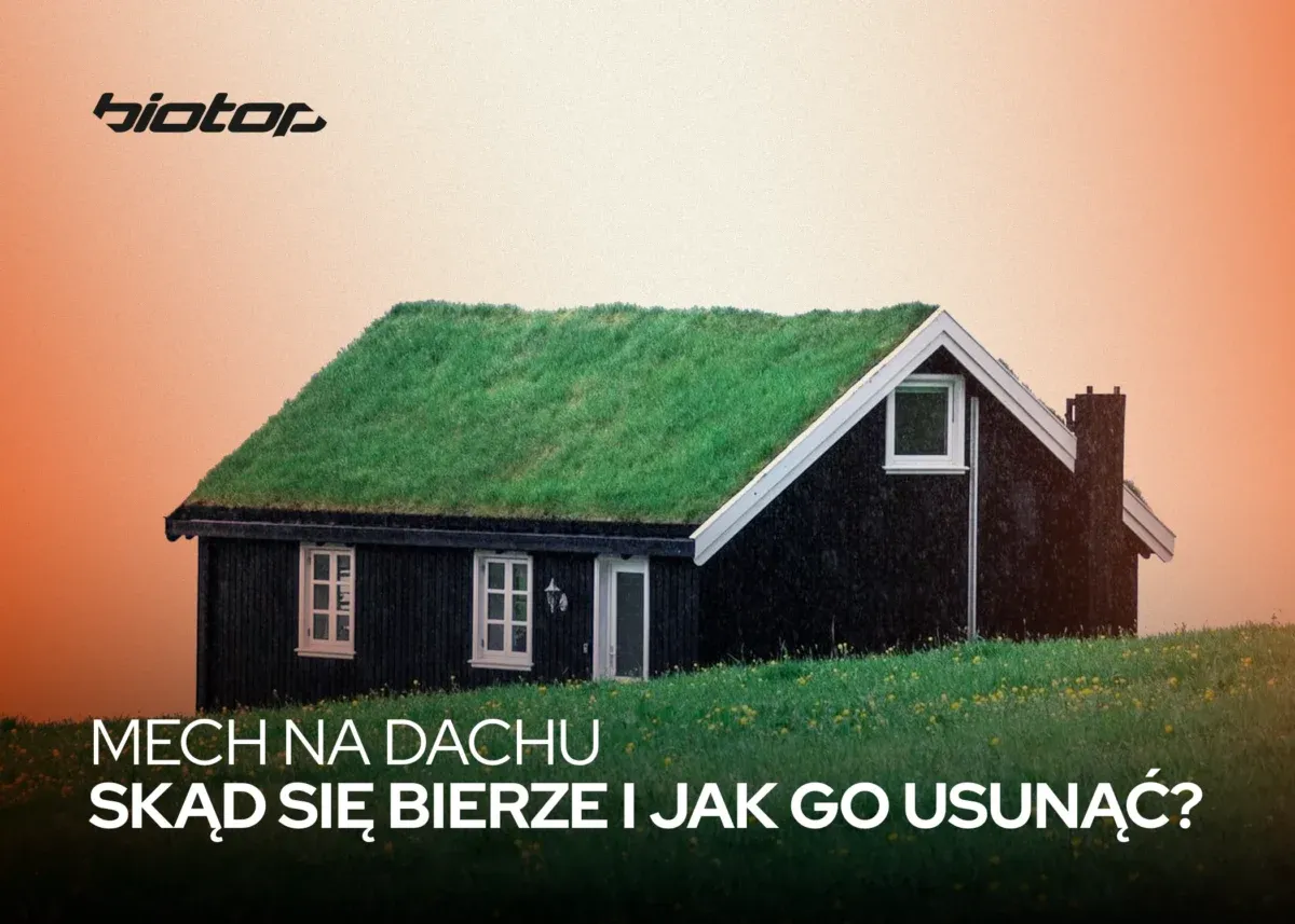 Zdjęcie Jak usunąć mech z dachu? Skuteczne metody i porady na każdą sytuację