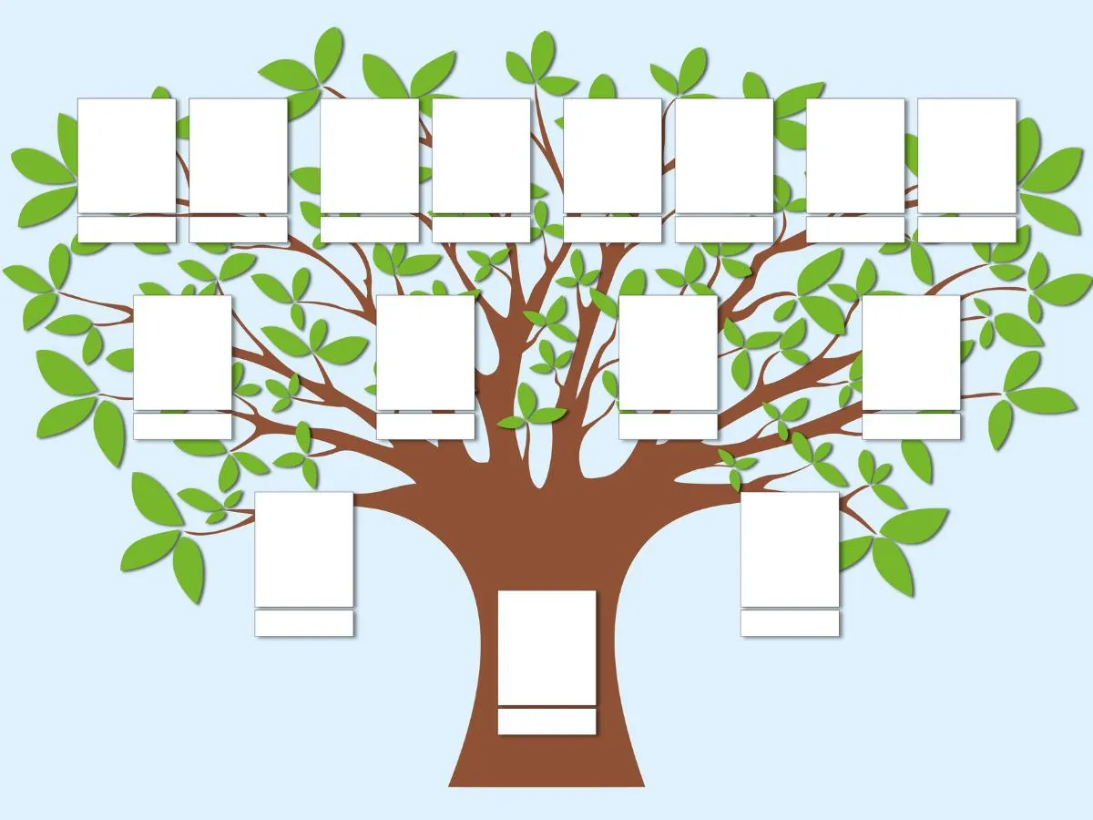 Zdjęcie Jak zrobić drzewo genealogiczne w PowerPoint: 7 prostych kroków