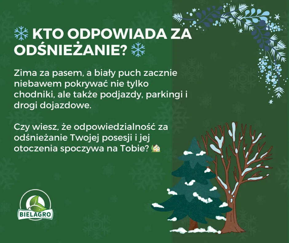 Zdjęcie Kto odśnieża chodnik przy posesji? Sprawdź swoje obowiązki i kary