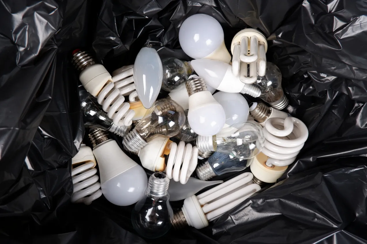 Zdjęcie Jak prawidłowo wyrzucić zużytą żarówkę? Poradnik recyklingu