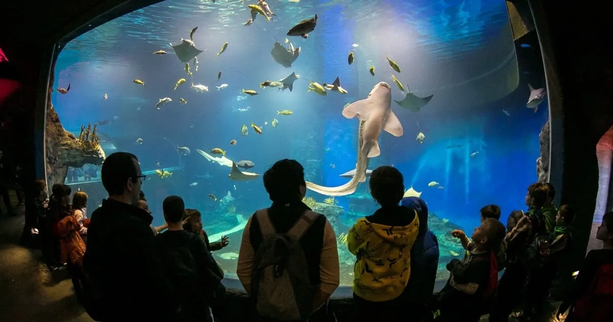 Zdjęcie Jak wykorzystać bon turystyczny w oceanarium Wrocław bez problemów
