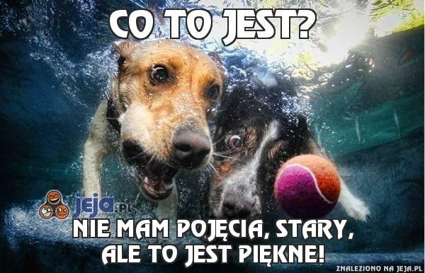 Zdjęcie Rusztowanie krok po kroku: Wszystko, co musisz wiedzieć o bezpiecznej pracy na wysokości