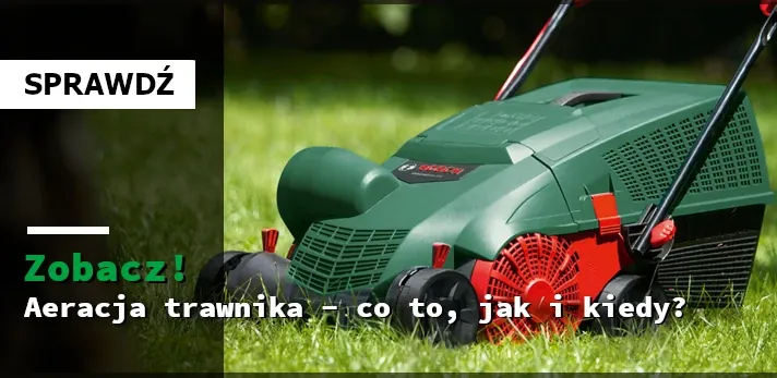 Zdjęcie Wertykulacja i aeracja trawnika do kiedy? Kluczowe terminy i wskazówki