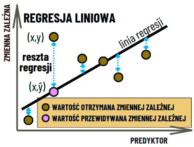 Zdjęcie Zrozumienie zmiennej zależnej w matematyce i jej znaczenie w funkcjach