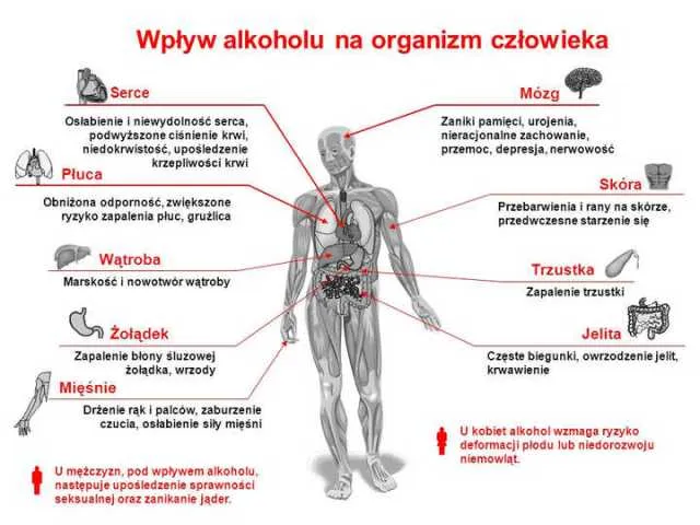 Zdjęcie Polvertic a alkohol: Co musisz wiedzieć przed spożyciem