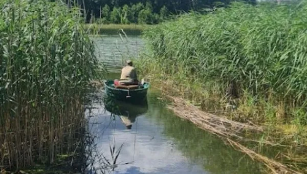 Zdjęcie Pogoda Jeziora Wielkie - Aktualne Warunki i Prognoza na Dziś