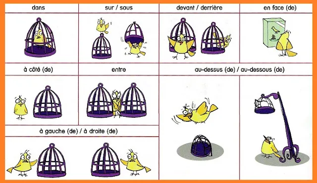 Zdjęcie Jak poprawnie używać przyimka de w języku francuskim?