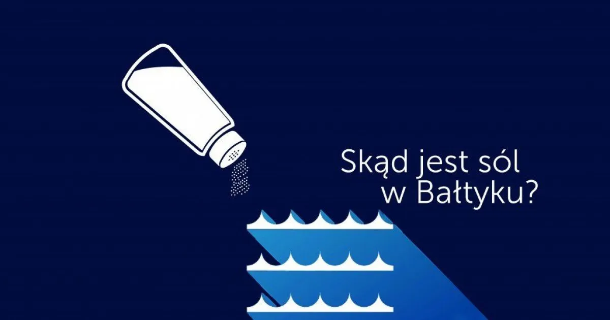 Zdjęcie Dlaczego Bałtyk jest słony? Odkryj zaskakujące przyczyny tej tajemnicy