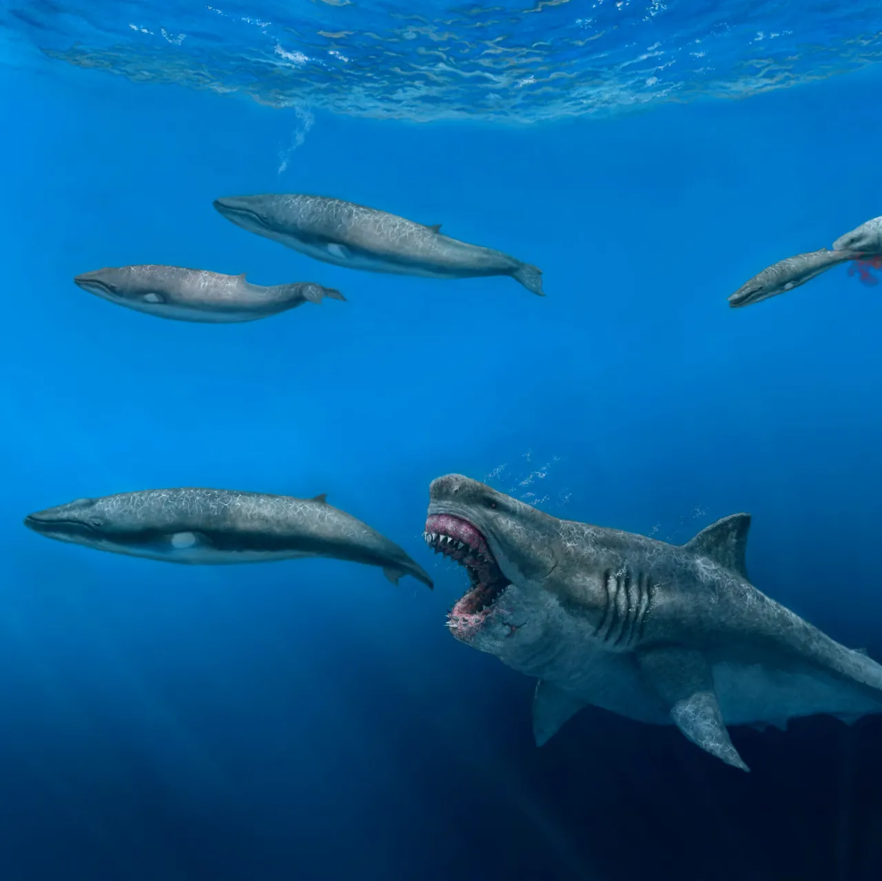 Zdjęcie Megalodon 2017: Prehistoryczny Rekin Powraca na Ekrany Kin