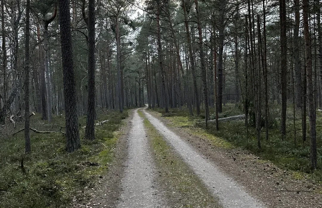 Zdjęcie Trasa rowerowa Rowy Czołpino: piękne widoki i praktyczne porady