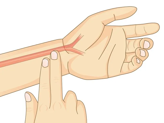 Zdjęcie Jak zmierzyć puls? Praktyczny przewodnik i interpretacja wynik&oacute;w