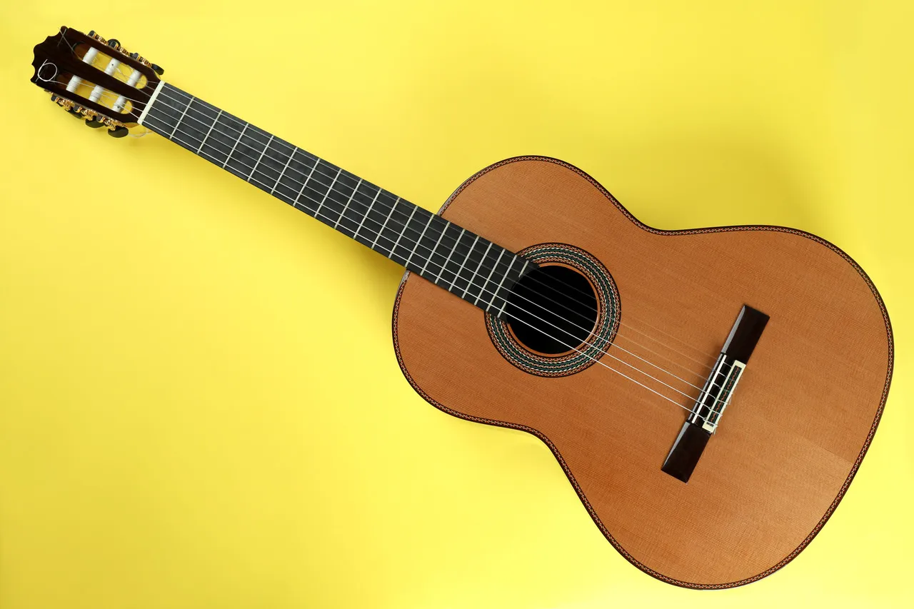 Zdjęcie Gitara klasyczna czy elektryczna - która lepsza dla Ciebie?
